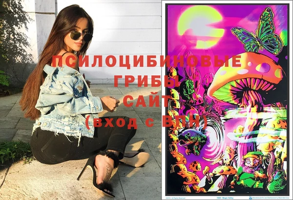 шишки Абдулино