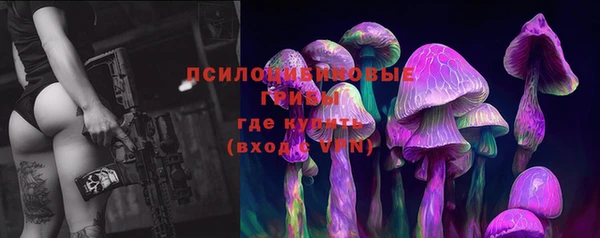 кокс Алексин