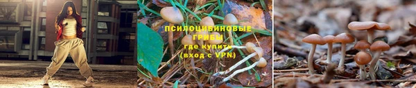 МДПВ Абаза