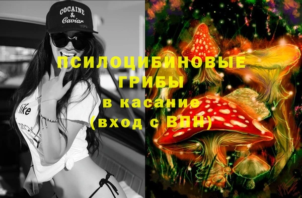 шишки Абдулино