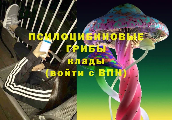 шишки Абдулино