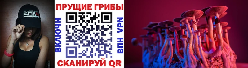 Галлюциногенные грибы мицелий  Красково 